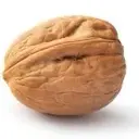 orex228