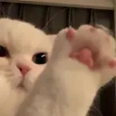 clnwghlunknwn