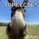 kamazmafia