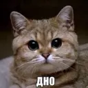 kfghjfhjfjkh