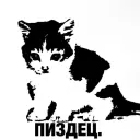 Solokz