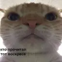 Ex_stat