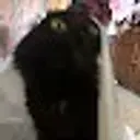 kitzzza