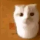 pozzr