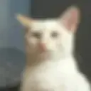 babirods