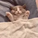 Fantep