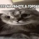 DerevoZolo