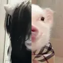 CHUMNY
