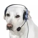 kusheye