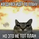 Camo_YT