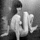 Distortions