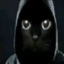 Morph