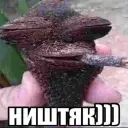 romka_kk13