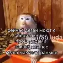 moon_lighhhh