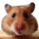 bubenkrutoy