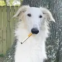 Тессеракт