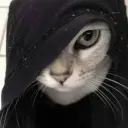 alibabajpeg
