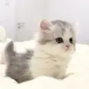 bulbulbulbulb