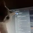 nolovelonger