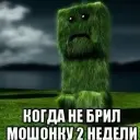 Bebebebabababa