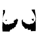 dshhh13