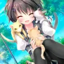 Luci