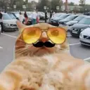 id695320589