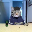 ГОПОТА