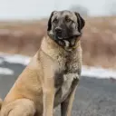 холодный