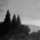 K9ERI