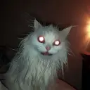 whoopie