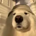 akayy