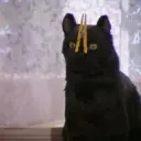 0hard0