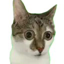 Sevevi