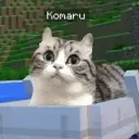 MALWARE
