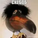 Jgfddgg