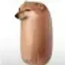 weikay10065