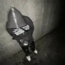 ctystallw