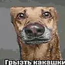 Markskl