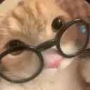 vovkagg_ll