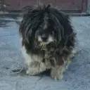 vllllove2