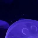 HWPO_Water