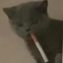 thegriim