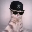 sirius_krutoi