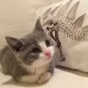 СтопОхрана