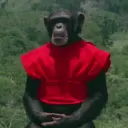 neyenburgt
