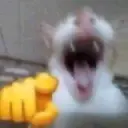 LuckyMeow