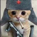 walqed
