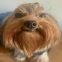 deusindiaboli