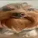 bibib123